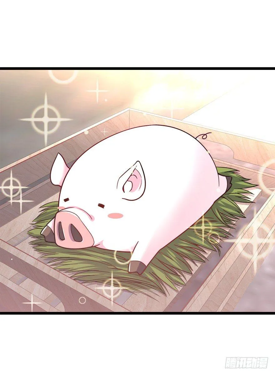 24 猪，快跟我回家~ 第25页