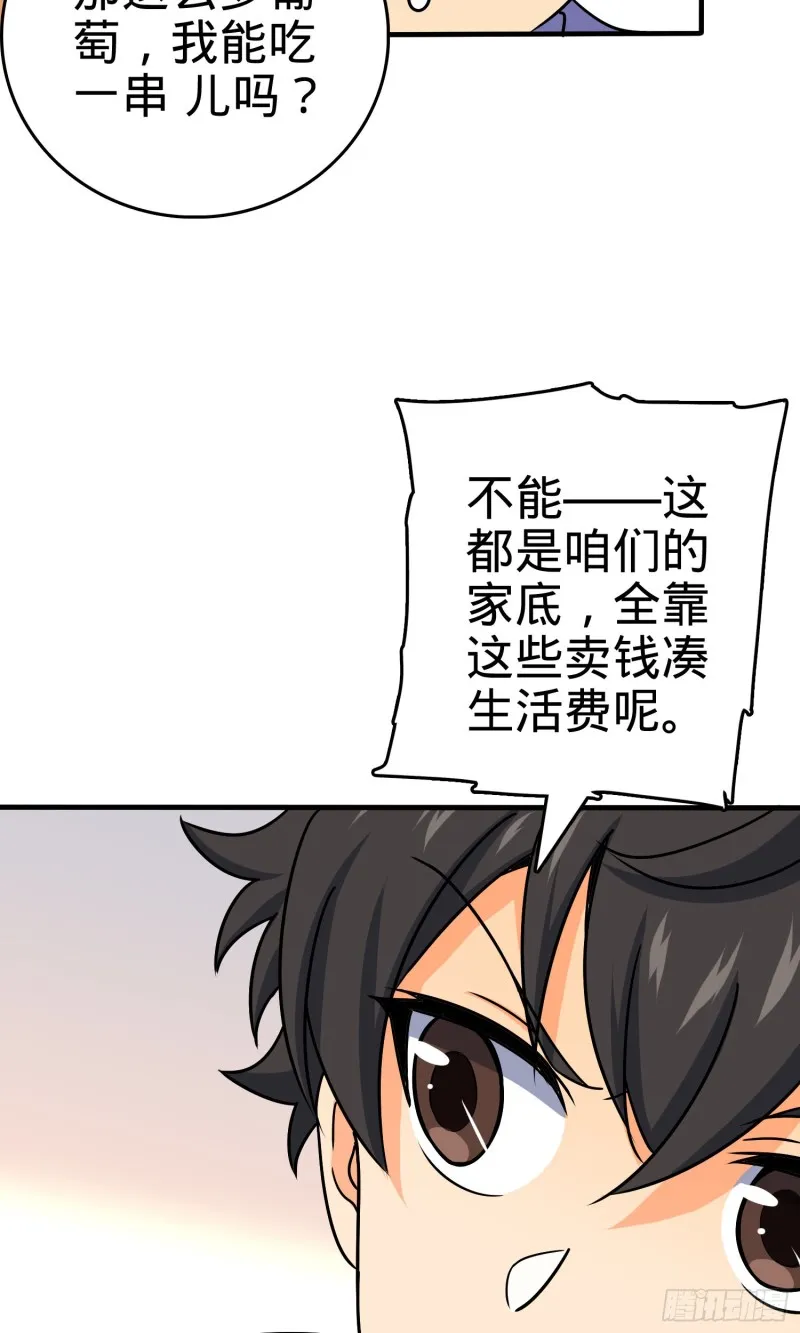 122 这葡萄怎么卖 第55页