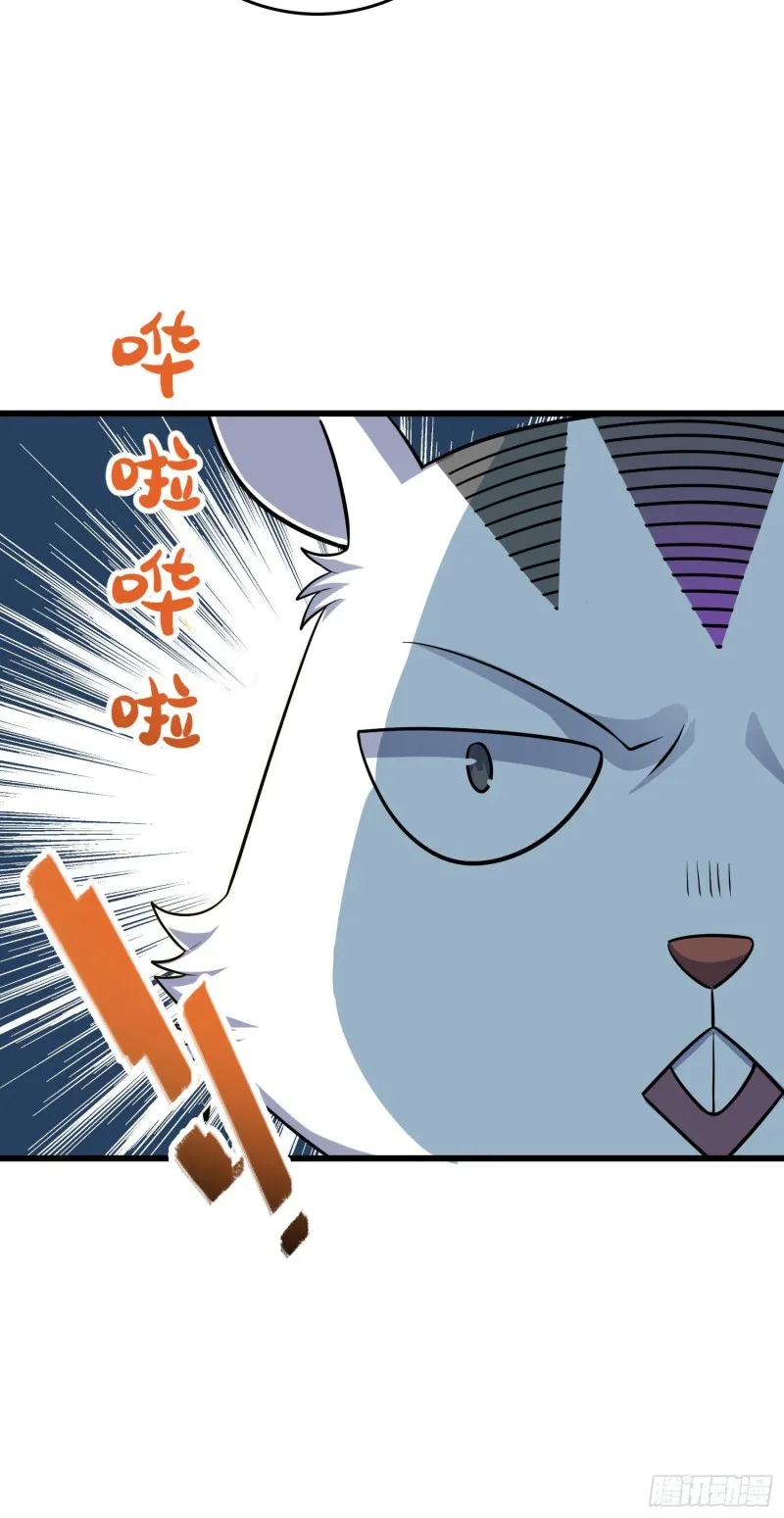 206 套路大师 第17页