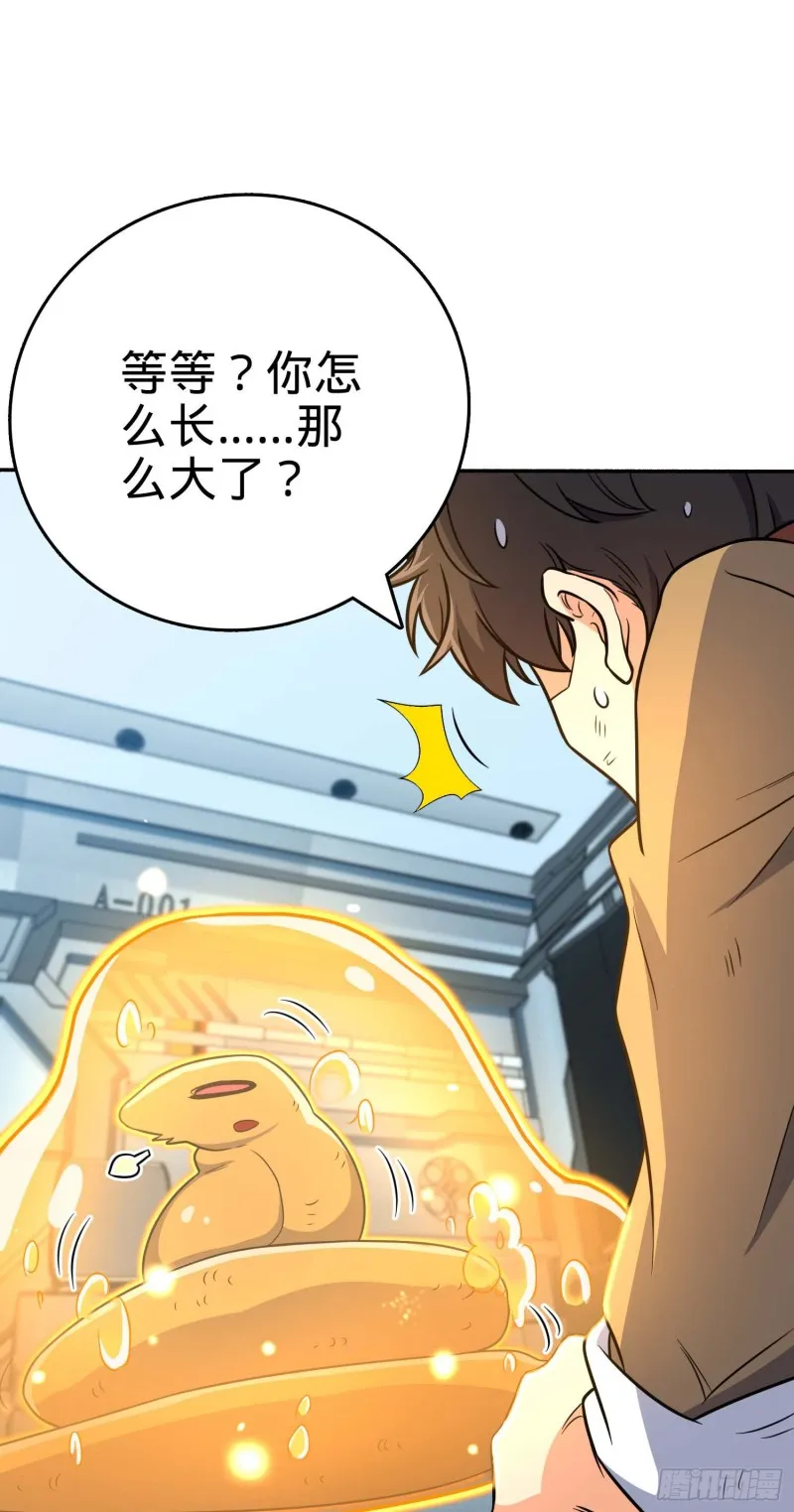 242 神集全面戒备 第16页