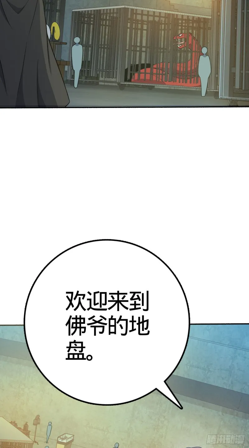 263 佛爷 第61页