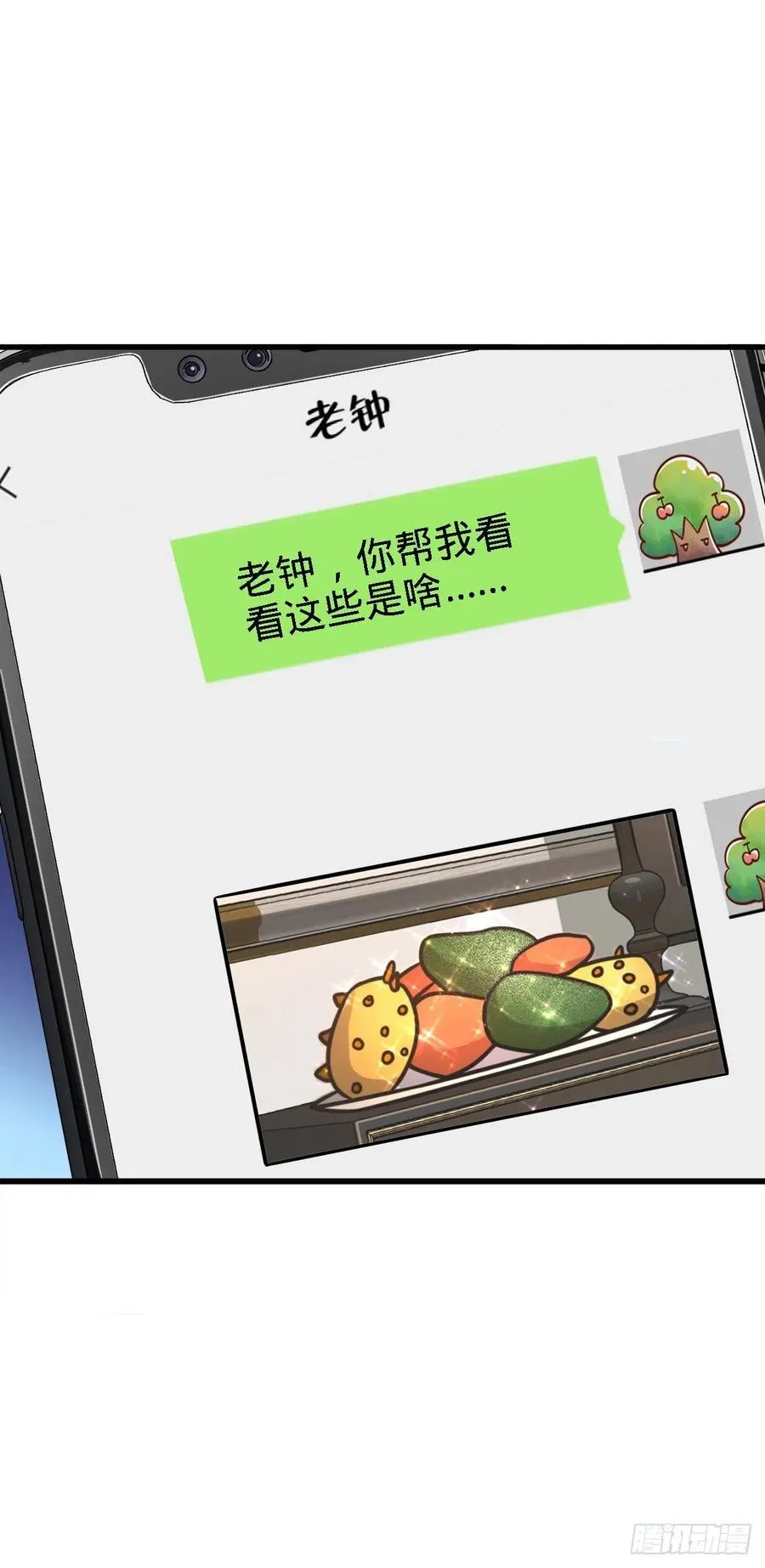 340 梧桐木 第6页