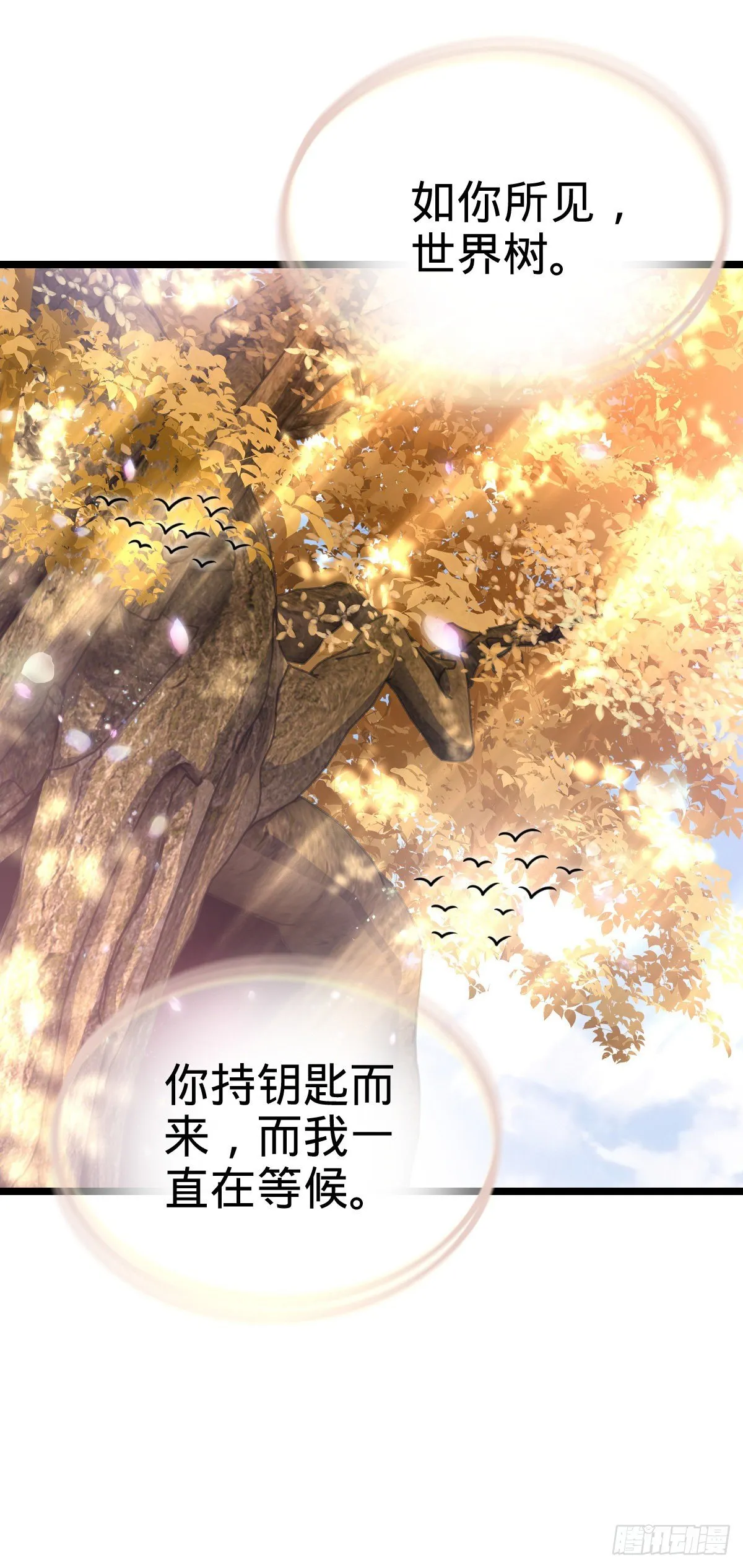 378 世界树 第27页