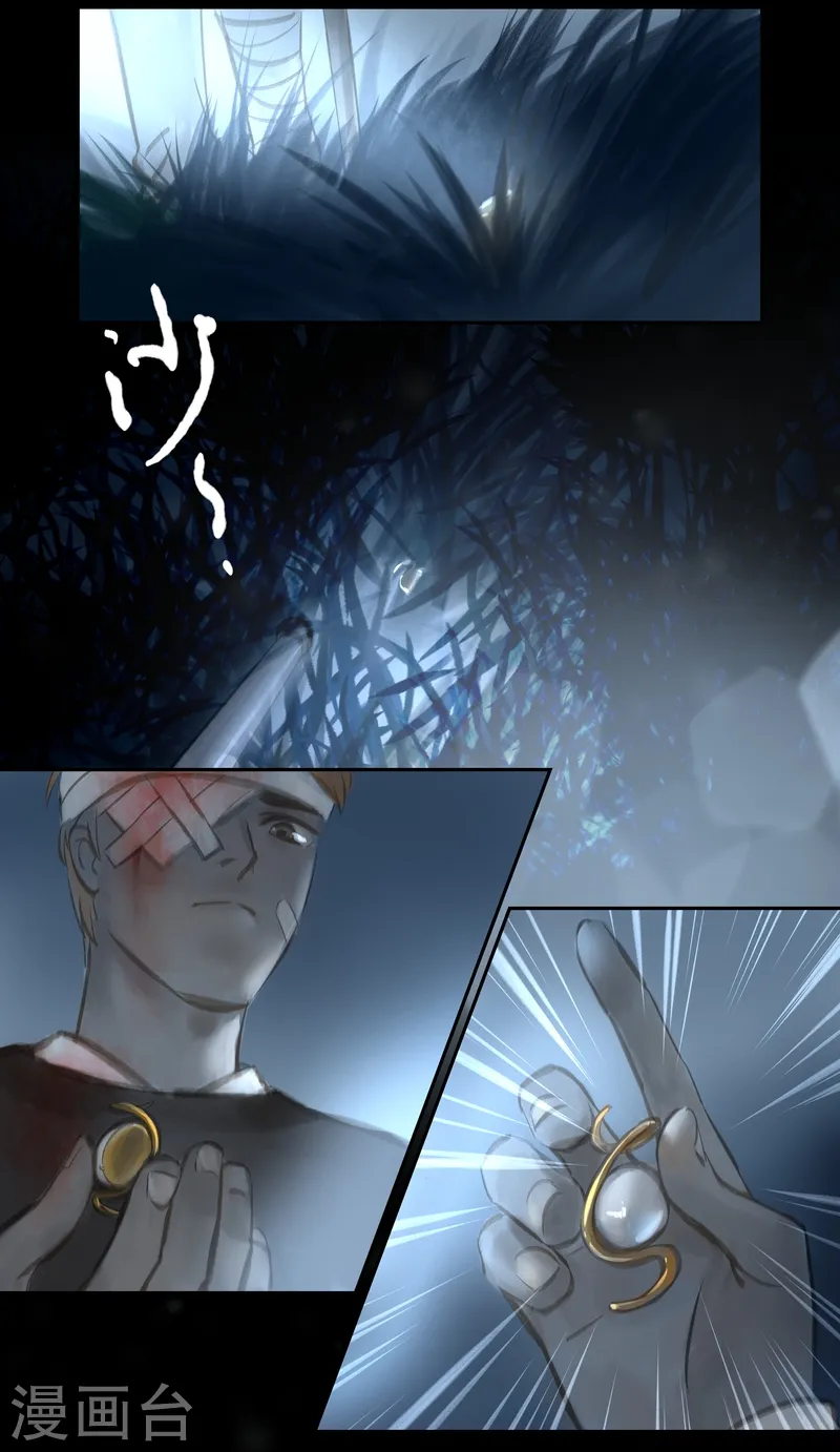 第45话 胸针 第4页