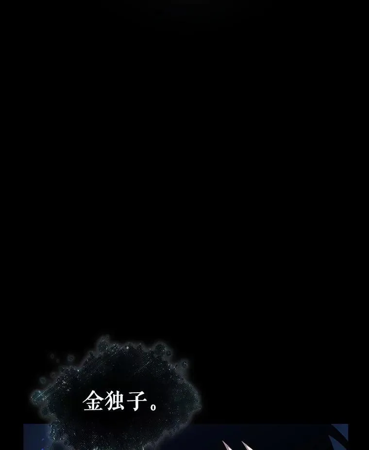 193.金独子的爱-11 第102页