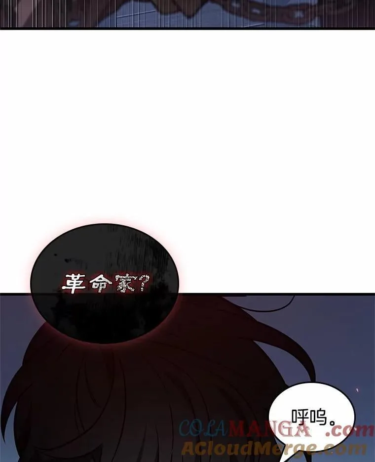 230.冒牌革命家-1 第37页
