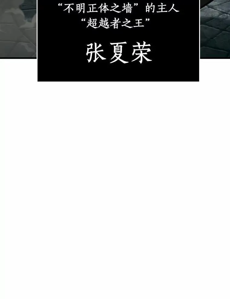 239.不明正体之墙-5 第95页