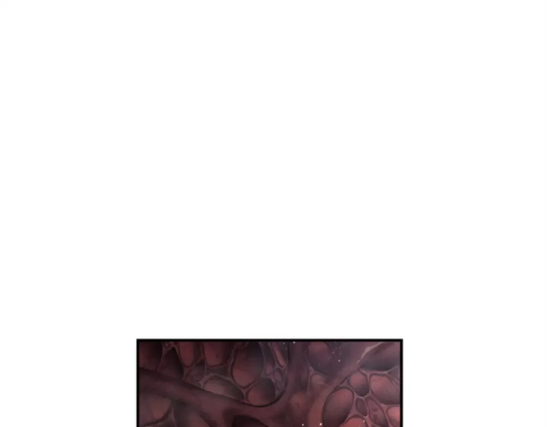 014 契约（2） 第141页