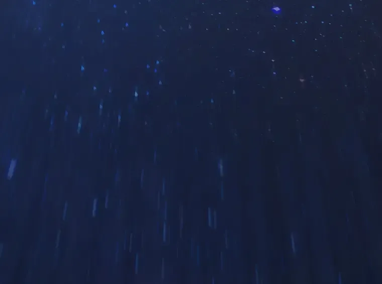 066 没有王的世界（2） 第59页