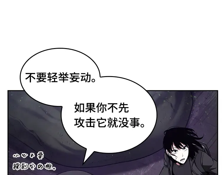 077 SSS级天赋（1） 第58页