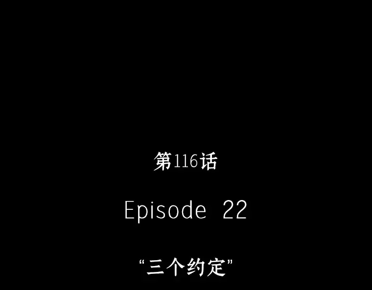 116 三个约定（9） 第17页