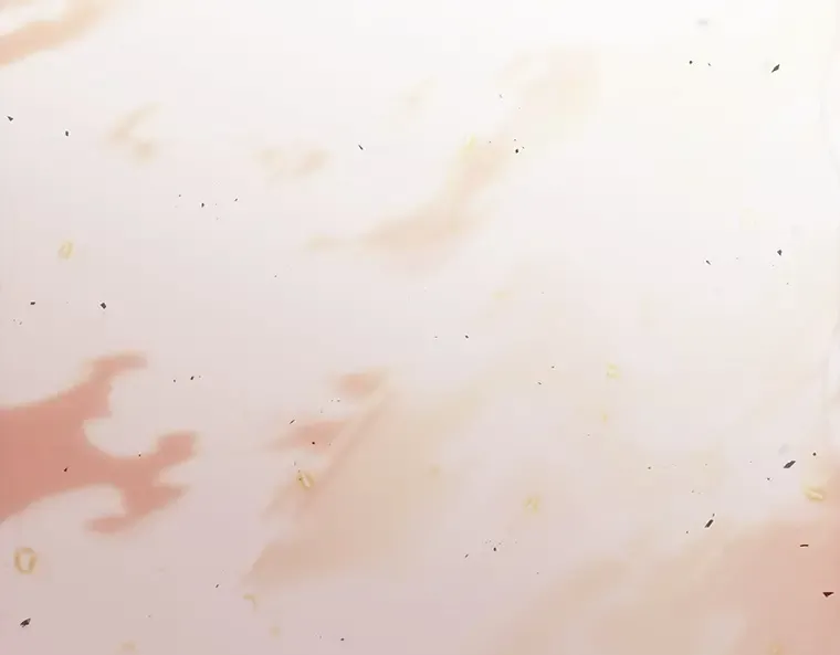 153 无法解读（1） 第70页