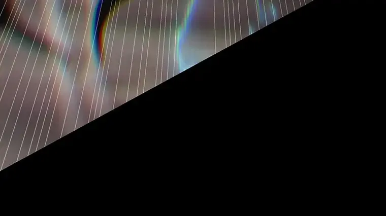 204 不能吃的东西（1） 第196页