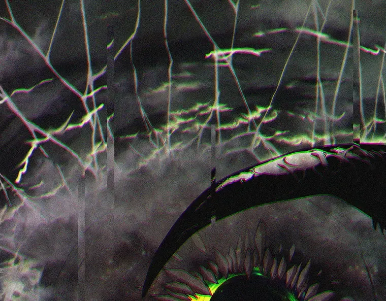 205 不能吃的东西（2） 第196页