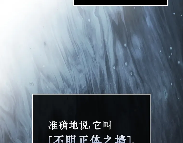 236 不明正体之墙（2） 第73页