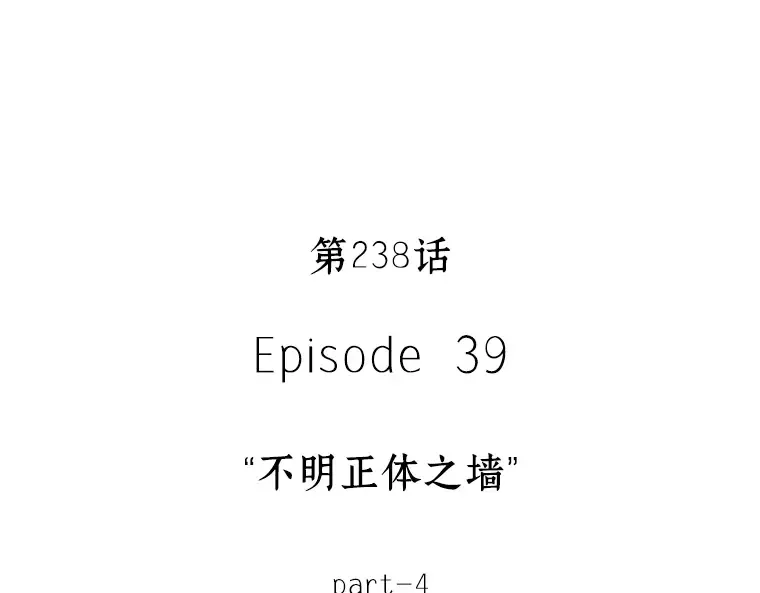 238 不明正体之墙（4） 第39页