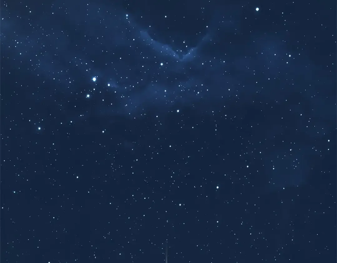 288 出场人物（2） 第206页