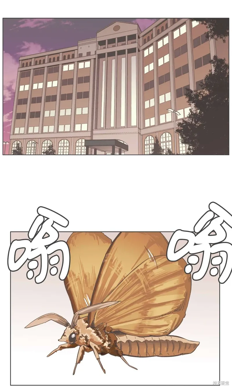 第17话 第4页