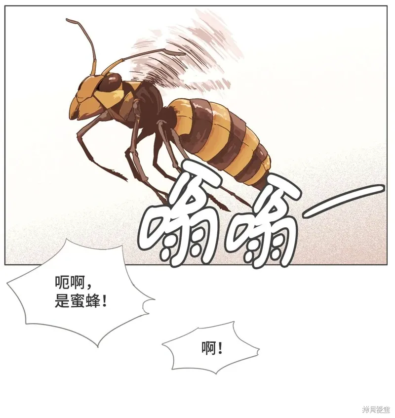 第17话 第24页