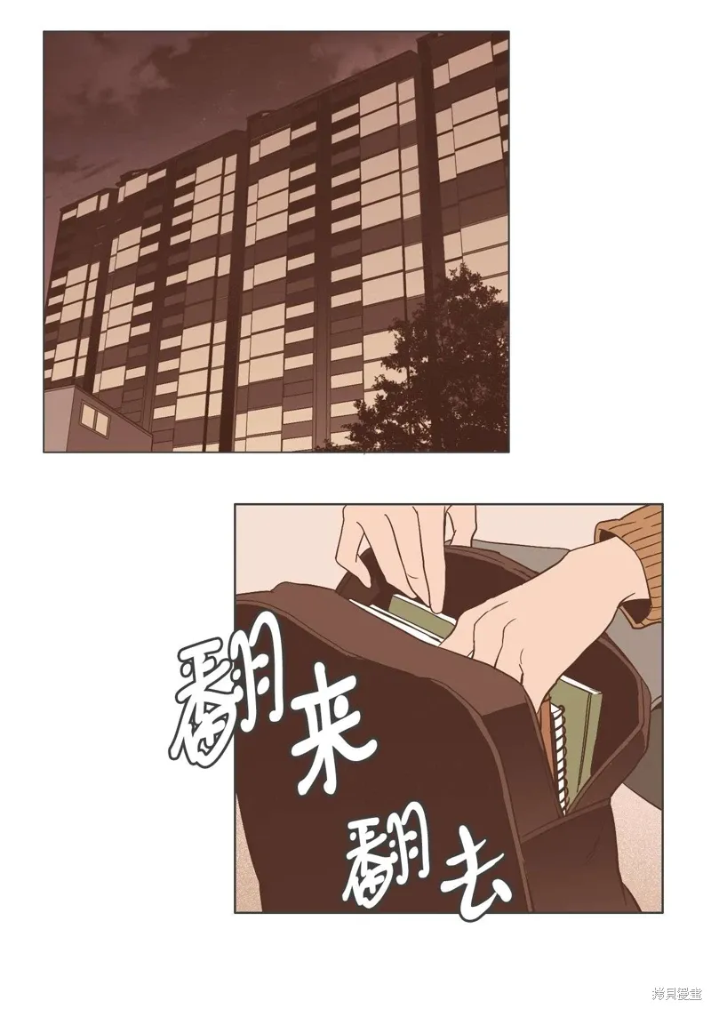 第17话 第33页