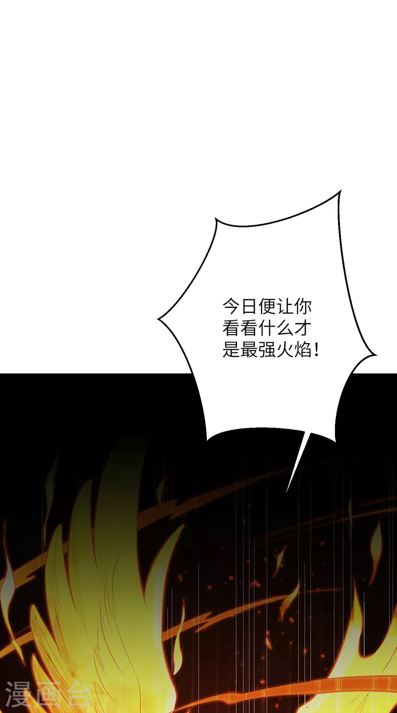 第359话 凤凰炎，净化吧 第29页