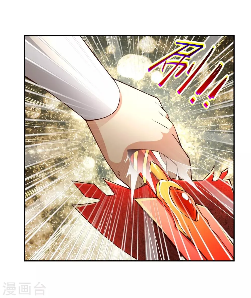 第96话 凤凰颂世典残卷3 第23页