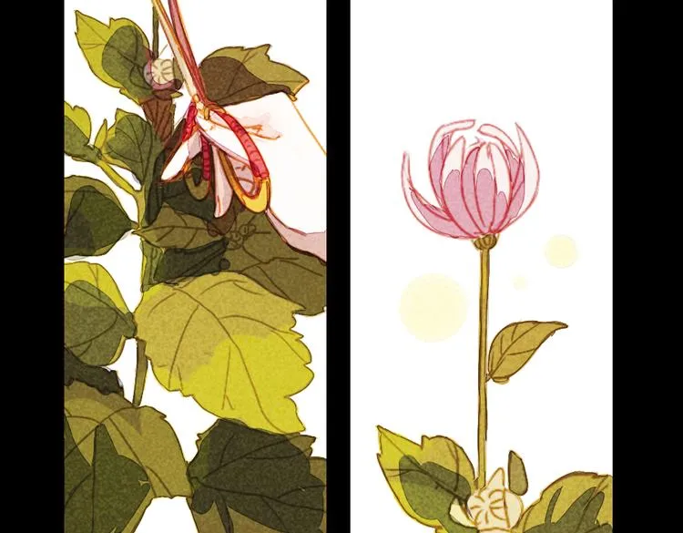 第5话 叙花列·菊（一） 第81页