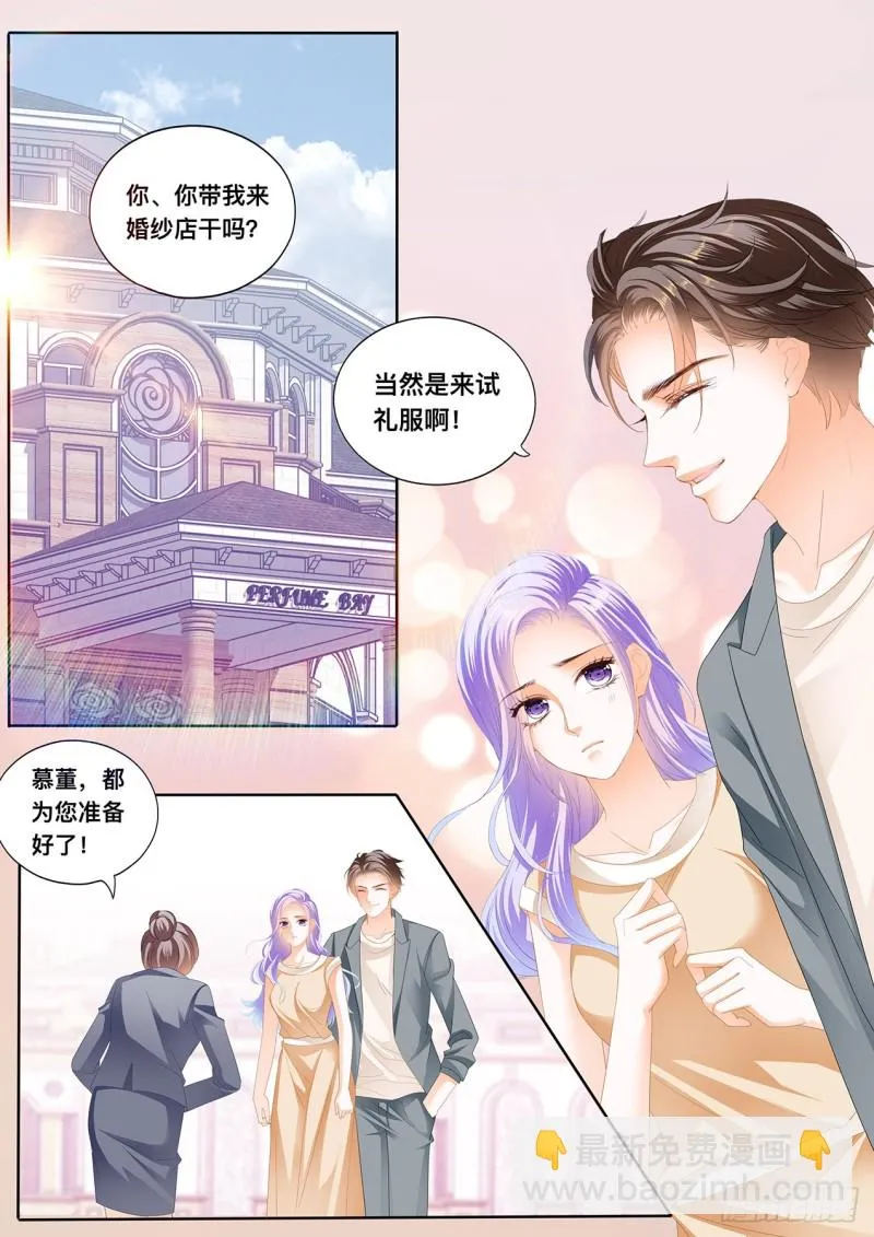 定制的婚纱 第3页