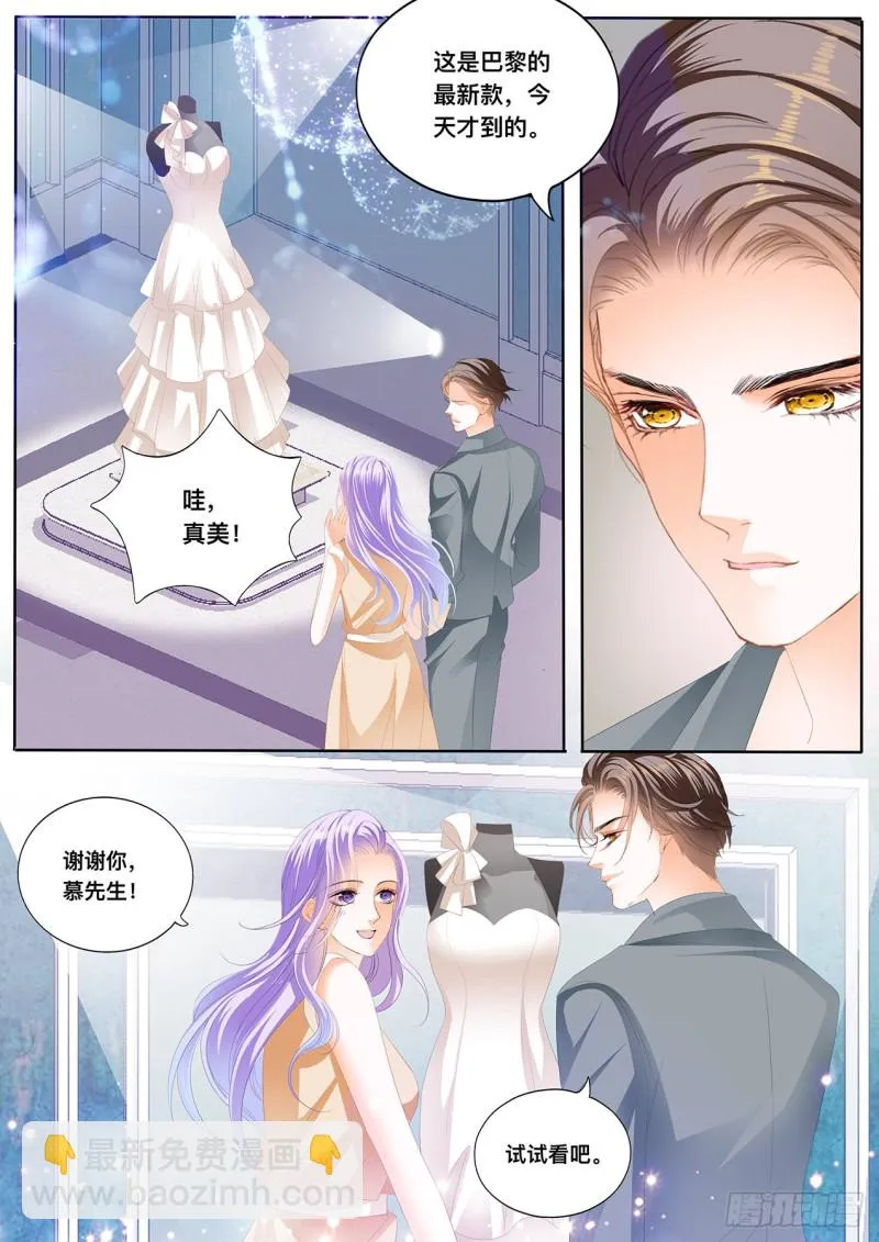 定制的婚纱 第5页