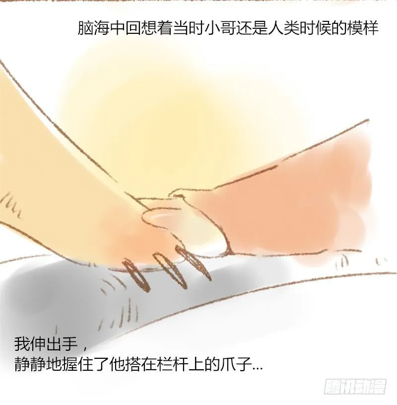 相伴的夜晚 第15页
