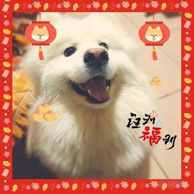 完结篇：时光不老，我们不散！ 第45页