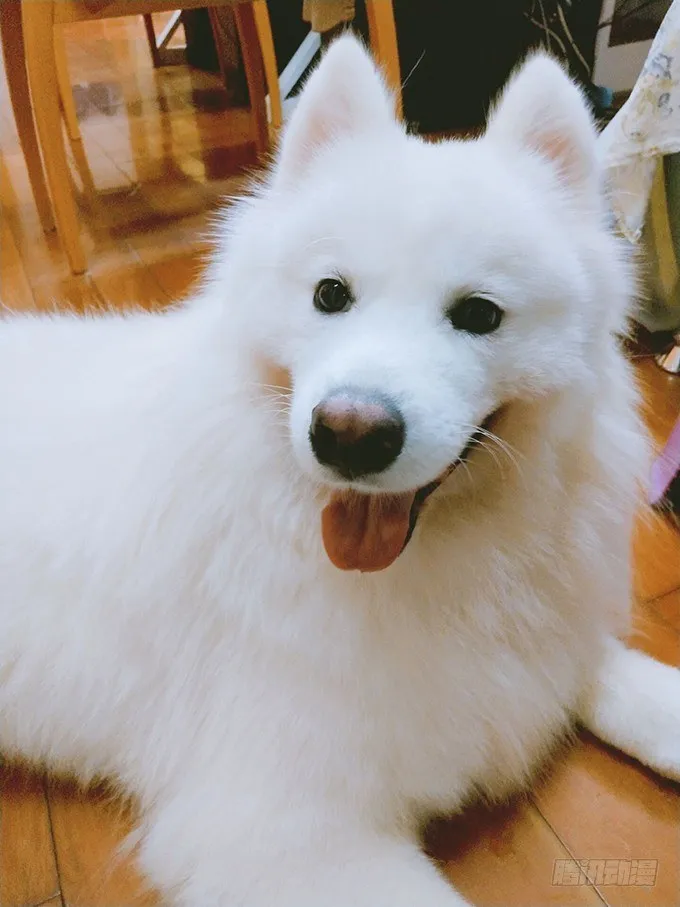 小七生死一线！ 第73页