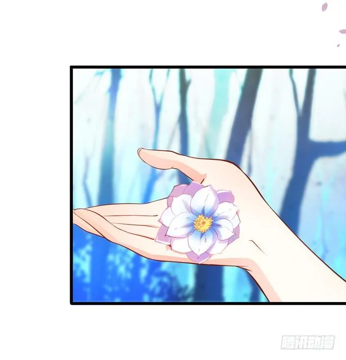 前世腹黑小七上线！ 第13页