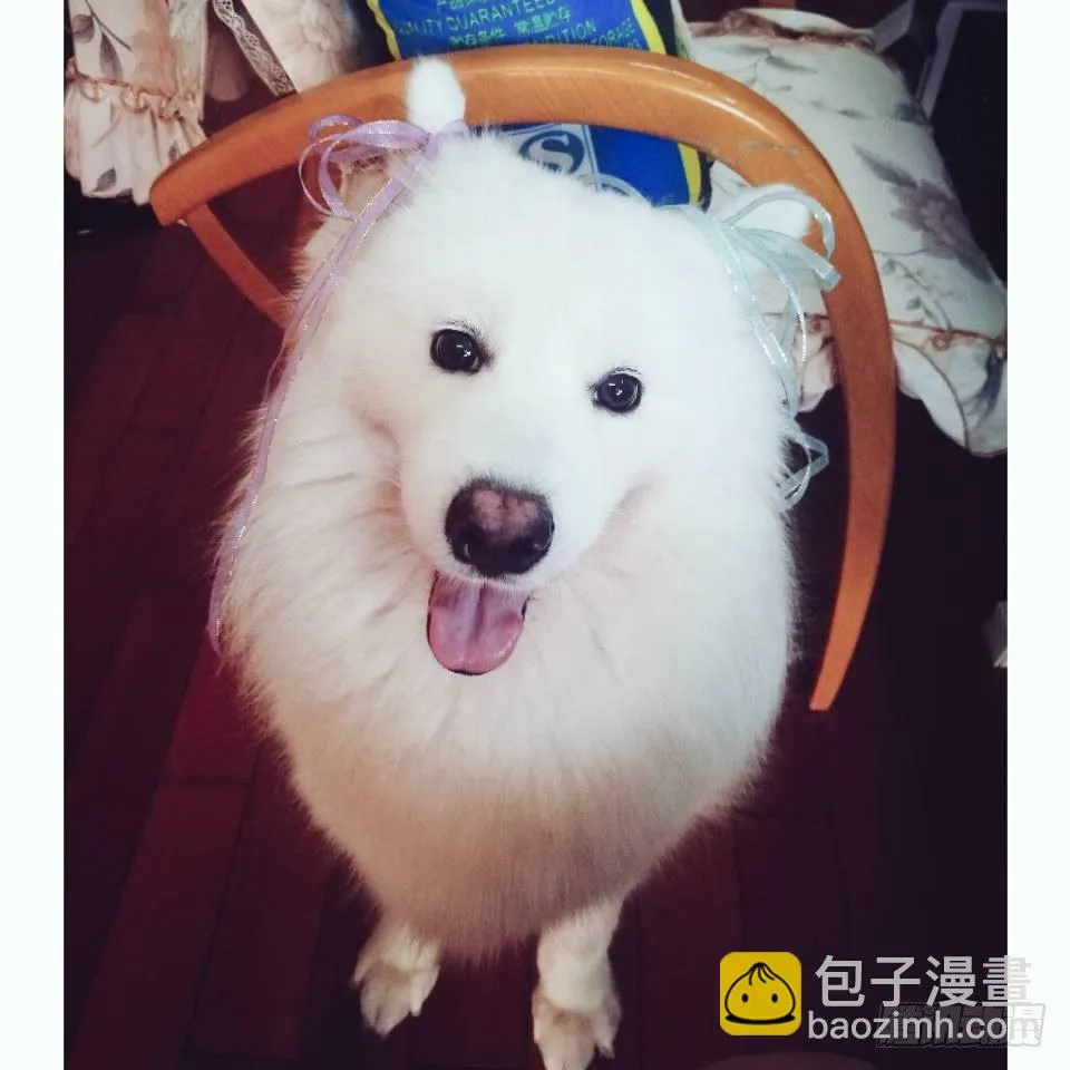 前世腹黑小七上线！ 第81页
