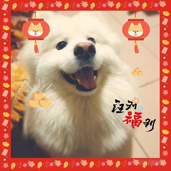 墨寒是你？！ 第73页
