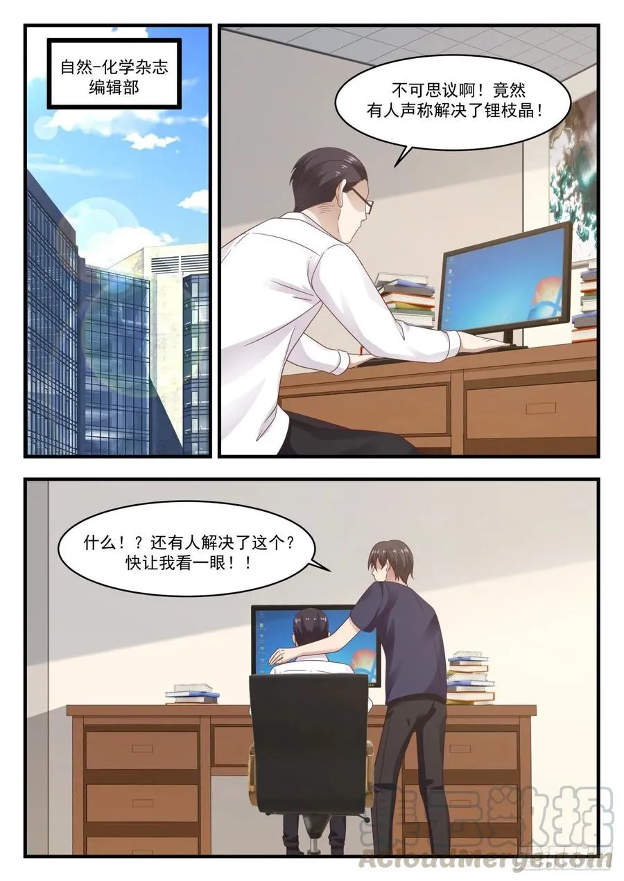锂枝晶 第13页