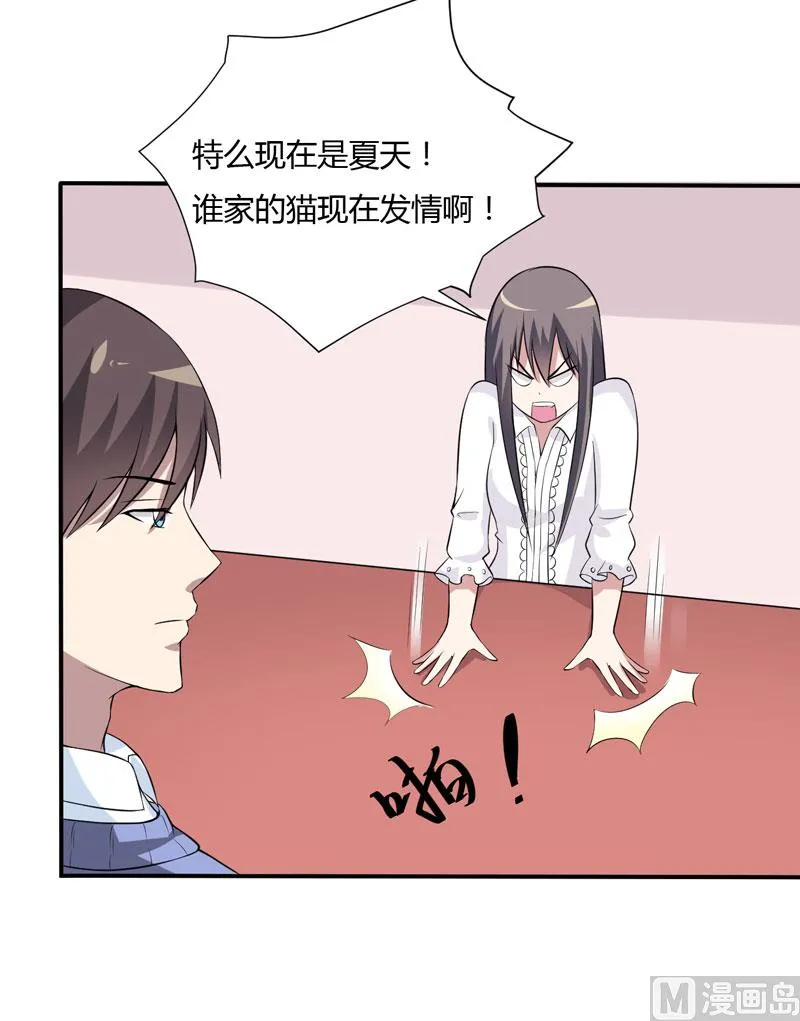 第13话 艰巨的任务 第13页