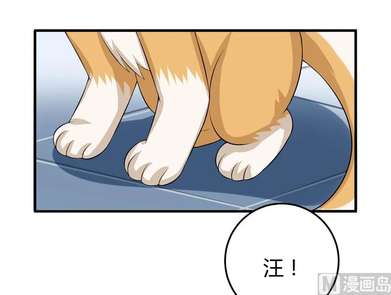 第25话 我也来体验生活 第11页