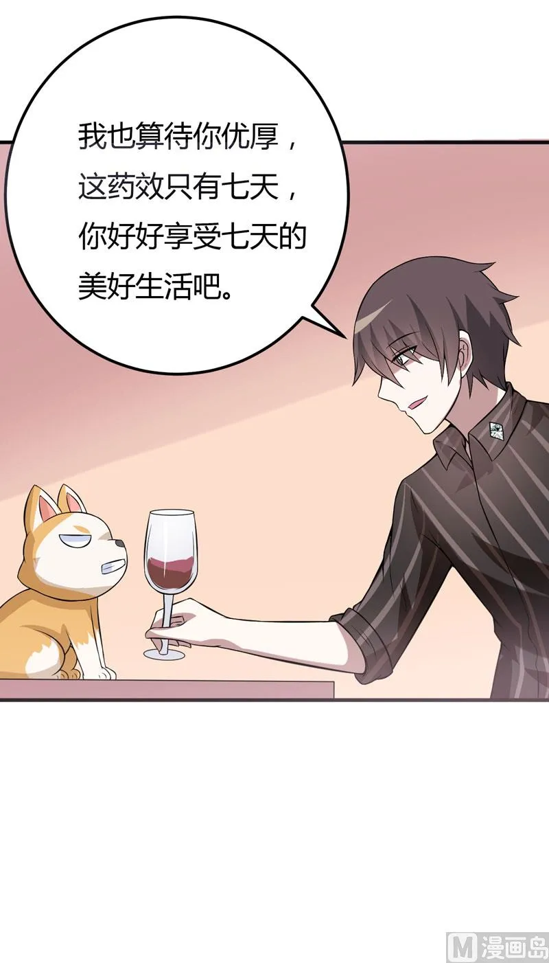 第37话 只能看，不能吃 第17页