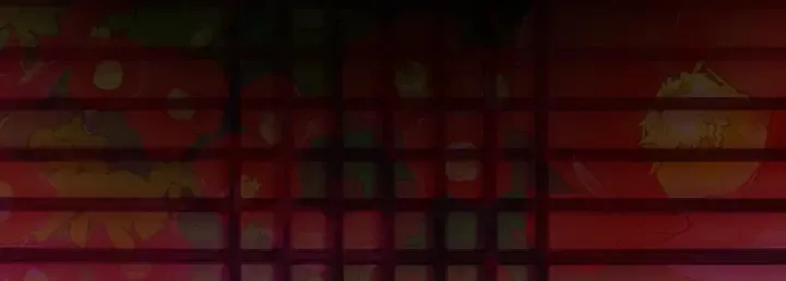 第54话影卫有帮手了 第148页