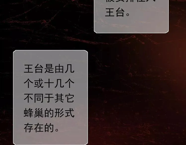 第1话 外星蜂族 第78页