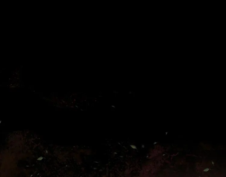 第5话 失落的王台 第113页
