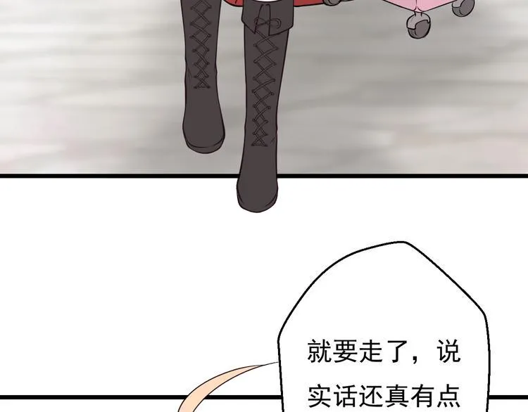 完结篇 期待更美好的相遇 第5页