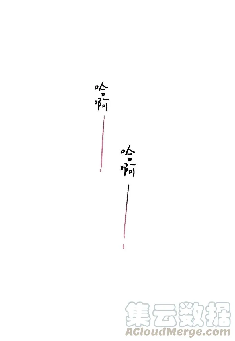 44 维卡消失了 第33页