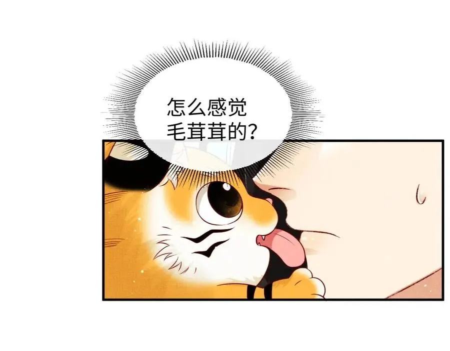 第74话 虎仔仔的初吻没了！ 第50页