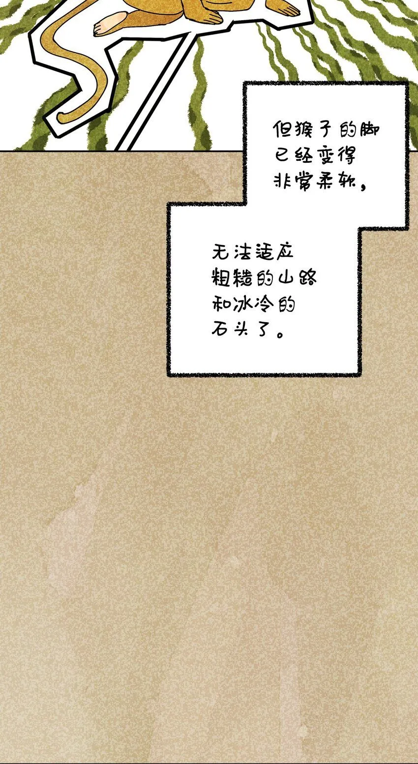 44 你就接受吧 第67页