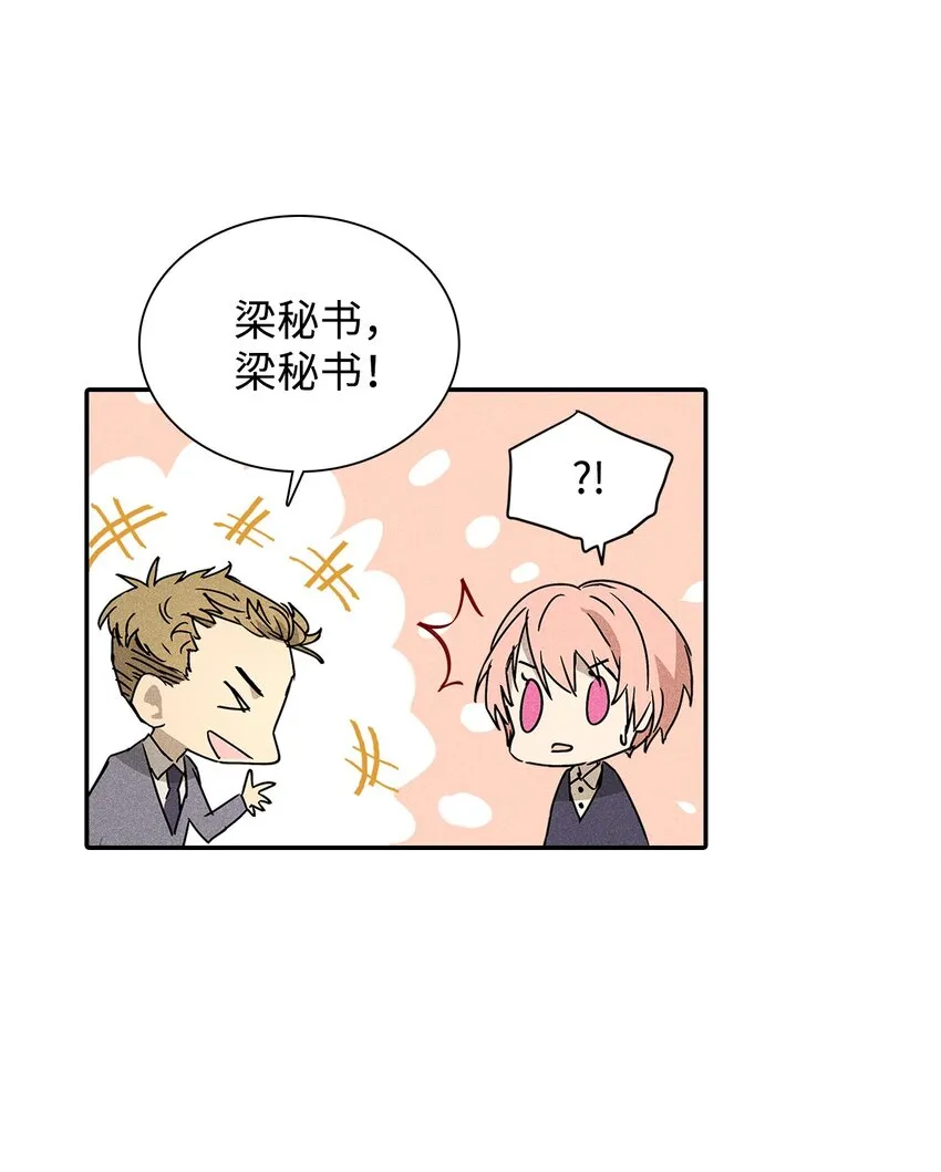 04 仅供观赏 第6页