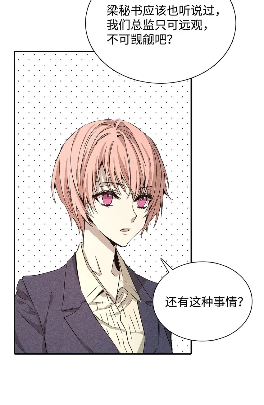 04 仅供观赏 第38页