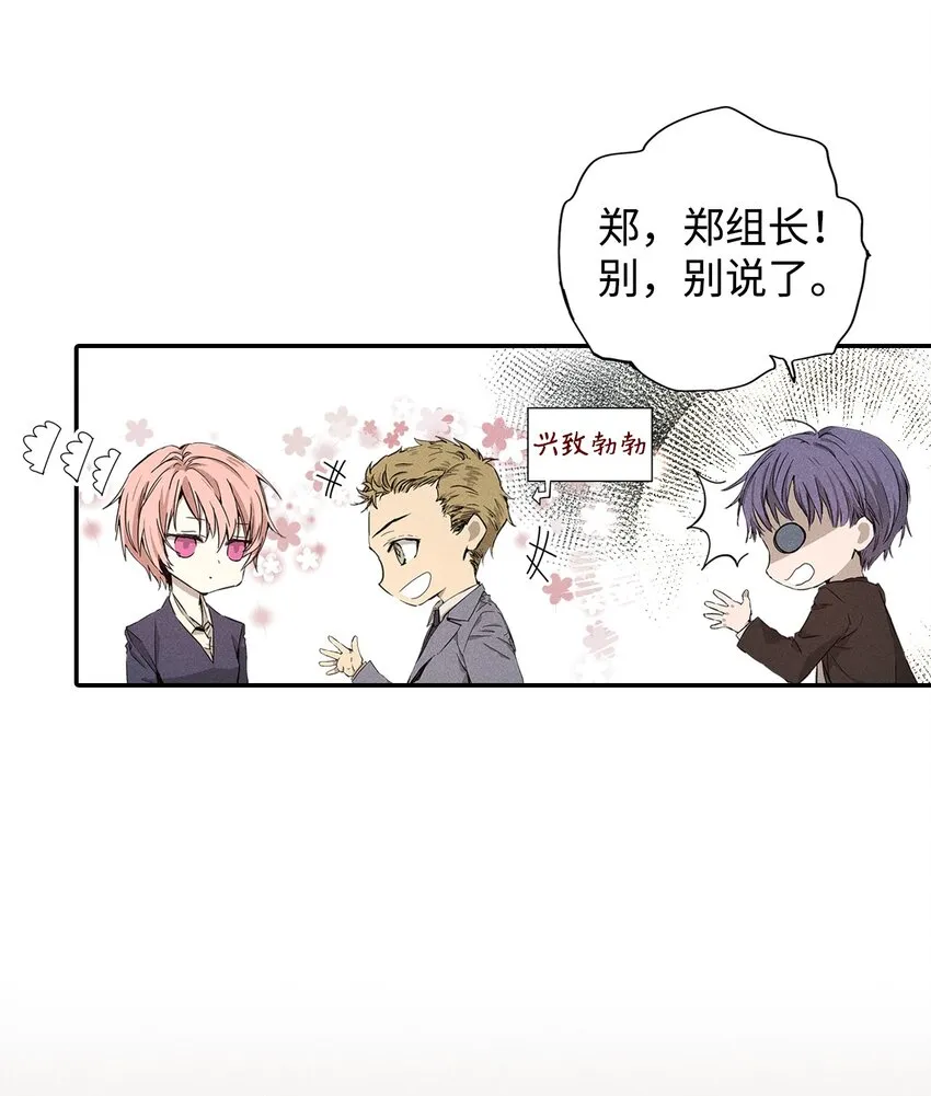 04 仅供观赏 第41页