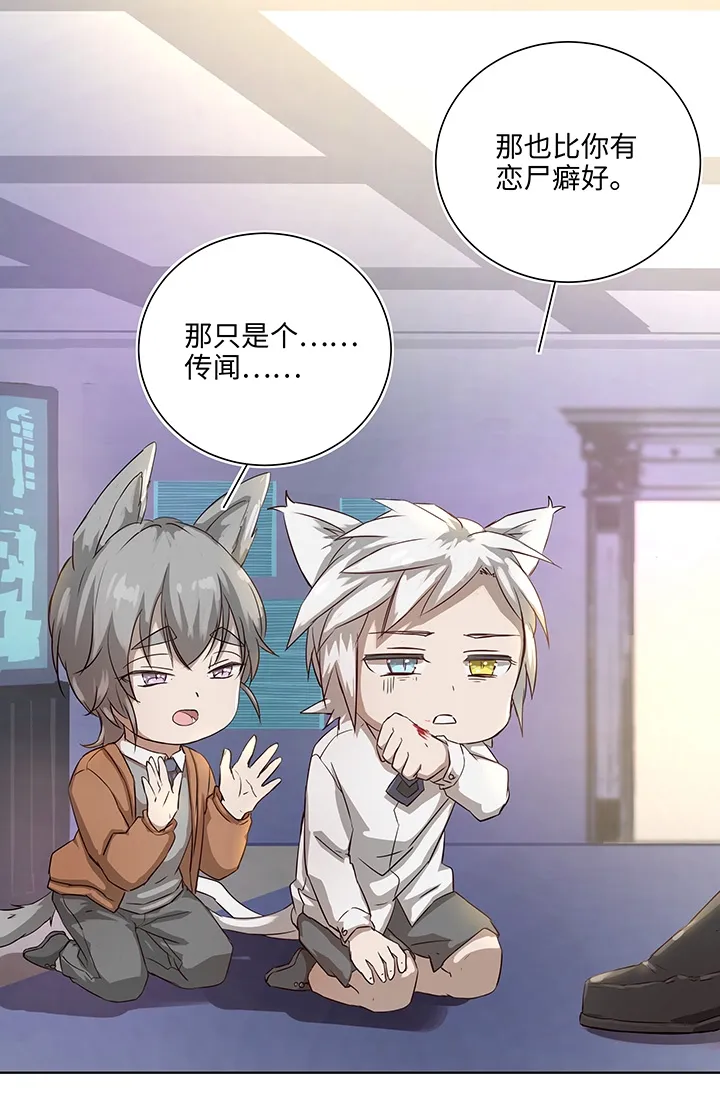 番外③ 泠珝与异色瞳狮子猫（下） 第13页